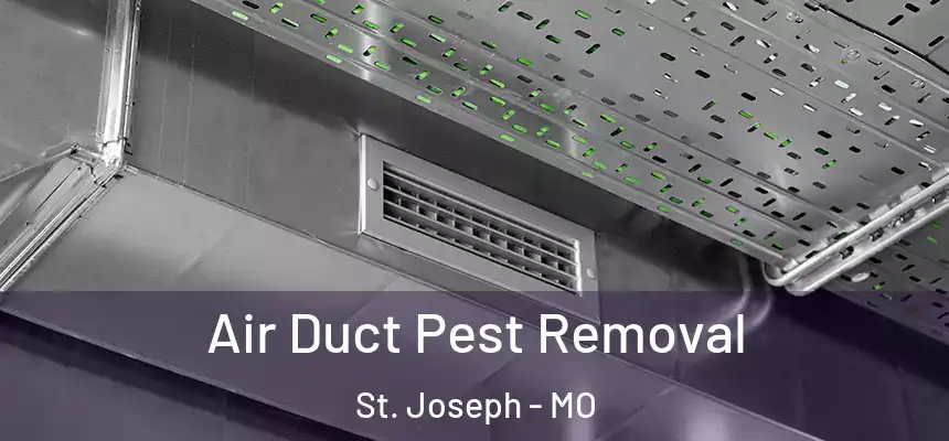 Air Duct Pest Removal St. Joseph - MO