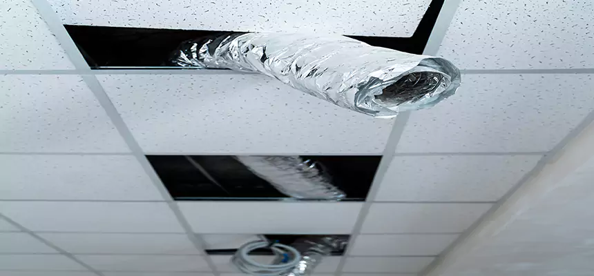 Affordable HVAC Sanitizing After Pest Removal in St. Joseph