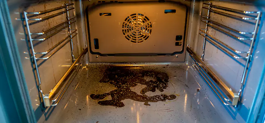 Our Dryer Vent Mold Cleaning Services in St. Joseph, MO