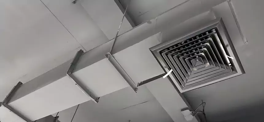 Our Rodent Droppings In Vents Services in St. Joseph, MO