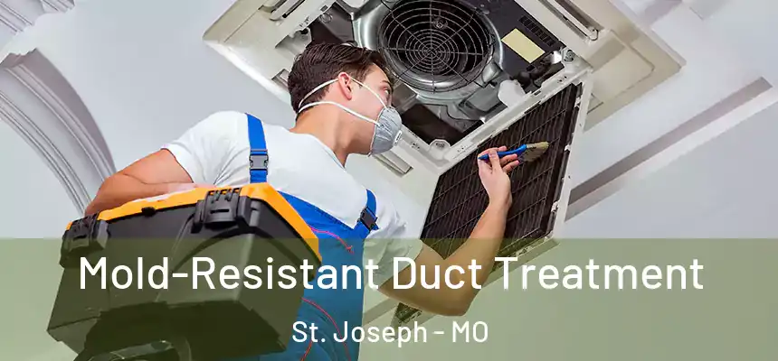 Mold-Resistant Duct Treatment St. Joseph - MO