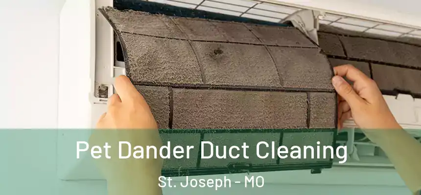 Pet Dander Duct Cleaning St. Joseph - MO