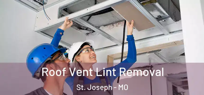 Roof Vent Lint Removal St. Joseph - MO