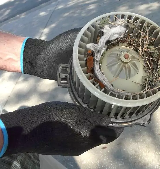 About Air Duct Mice Removal in St. Joseph, MO