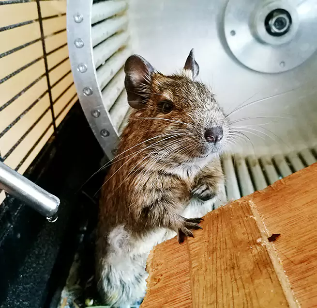 Why Homeowners & Businesses Trust Us St. Joseph, MO?